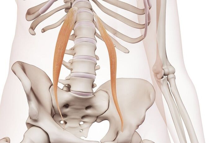 mugurkaula osteohondroze jostas reģionā slimības būtība